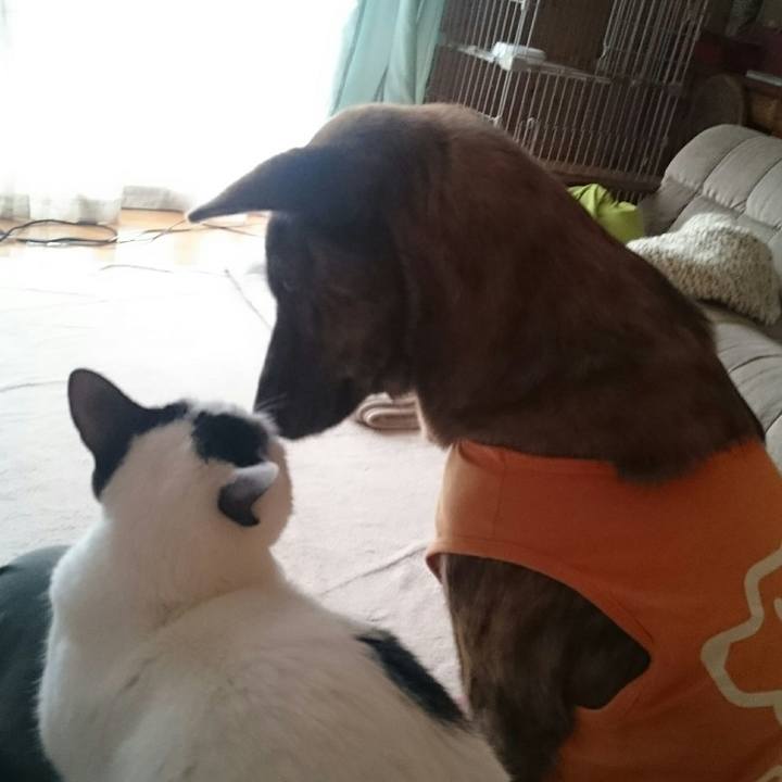 F88f9657 8550 44f7 9437 84a19d745af8