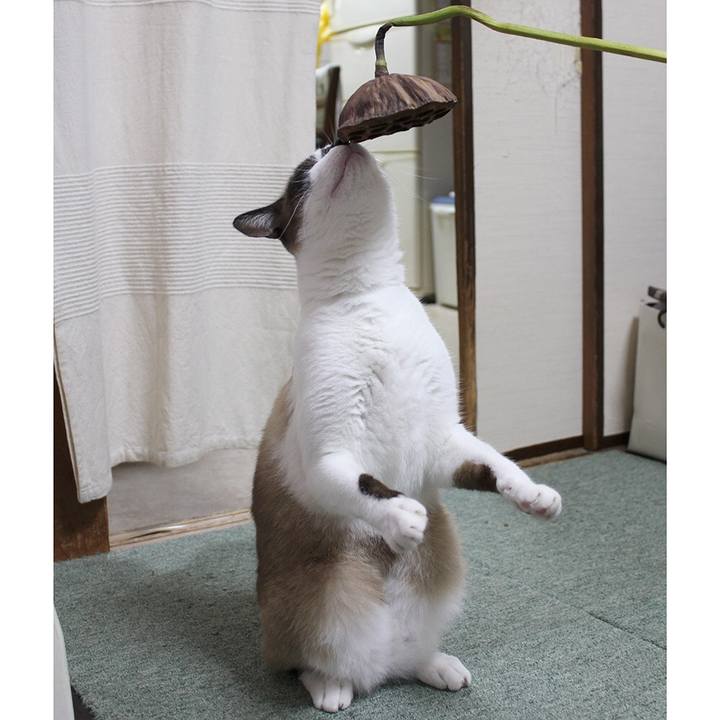 F88fcc2f 6649 4389 abe4 9766967353ca