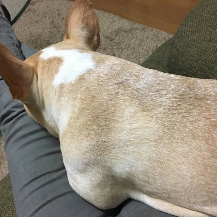 F88fe02e c33a 4b01 bb2c bdbfdc4b496a