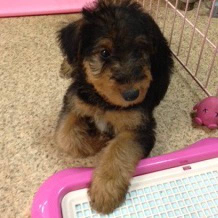 F890781d b1af 4028 b2d0 5fa07b6c304f