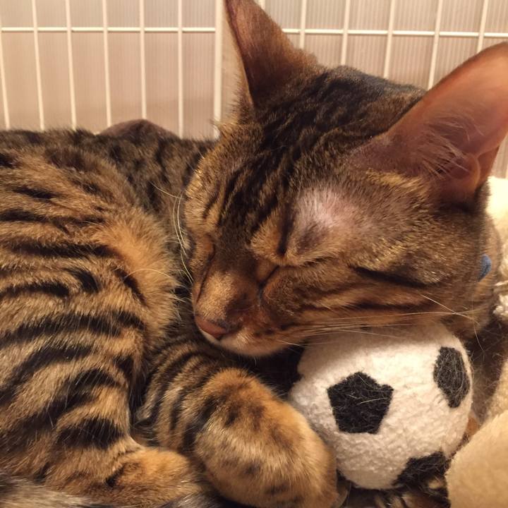 F890c2aa e577 4fa3 bdd6 16a058830e12