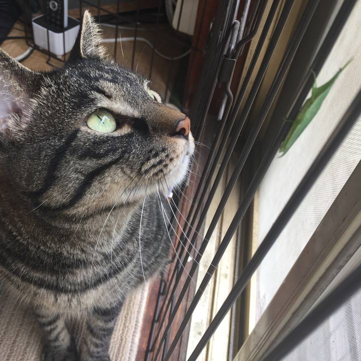 F8912648 beaa 4a6d 8fdf 97539dd89200