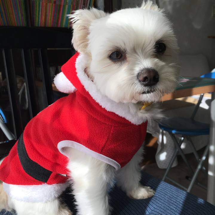 F891481c 84c1 4977 975b a58339e9eb0f