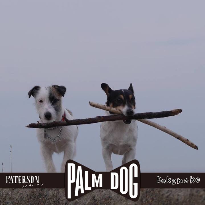 F8930cb0 f5e3 476c 93aa ee117a572560