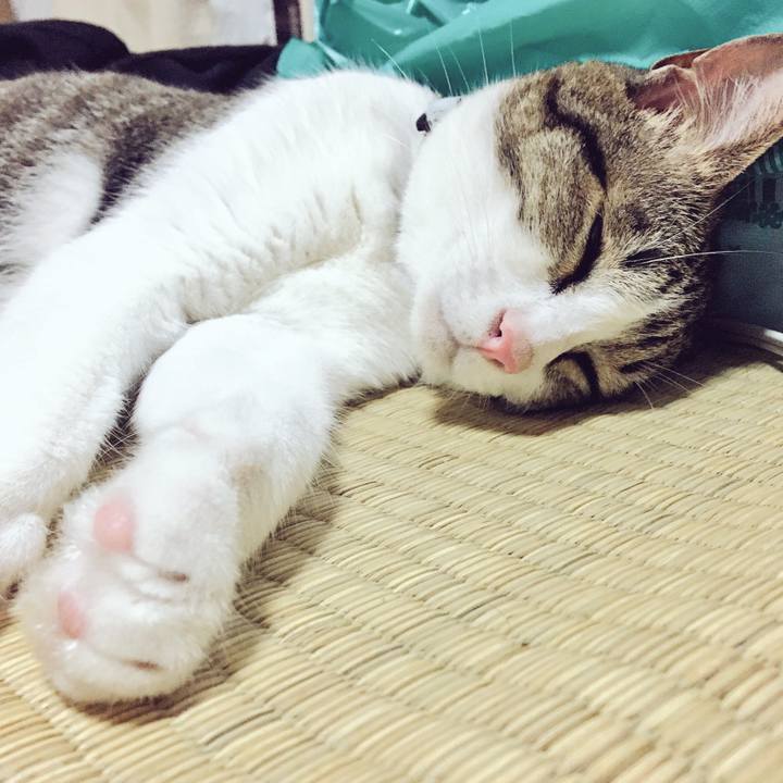 F8931cc8 6da5 402a b6c8 051421f24ef7