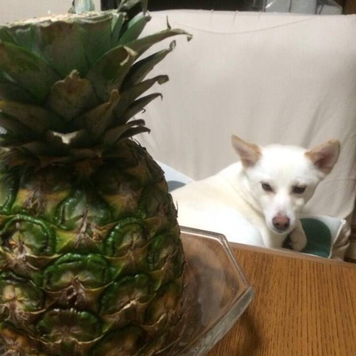 F8933994 f606 4607 b7b3 0dbb874f4fec