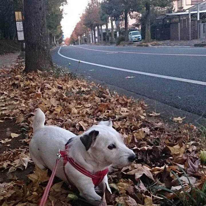 F89357ed 1364 4ced b5ad 1a8976321aee