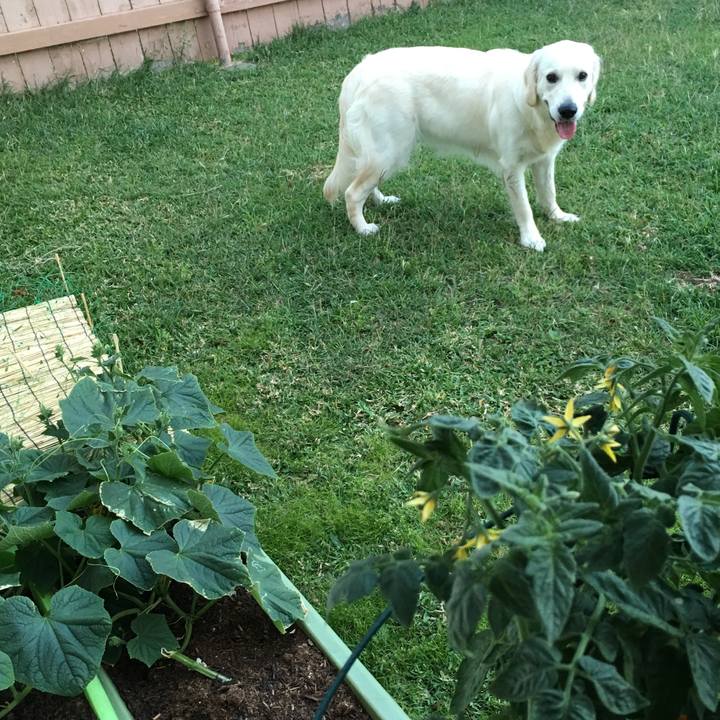 F893f206 b691 4f1e 86b6 4b82bfa81845