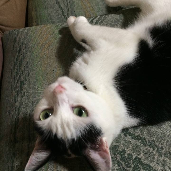 F8940b6c 0ca4 4182 bd62 2ee78bbe352d