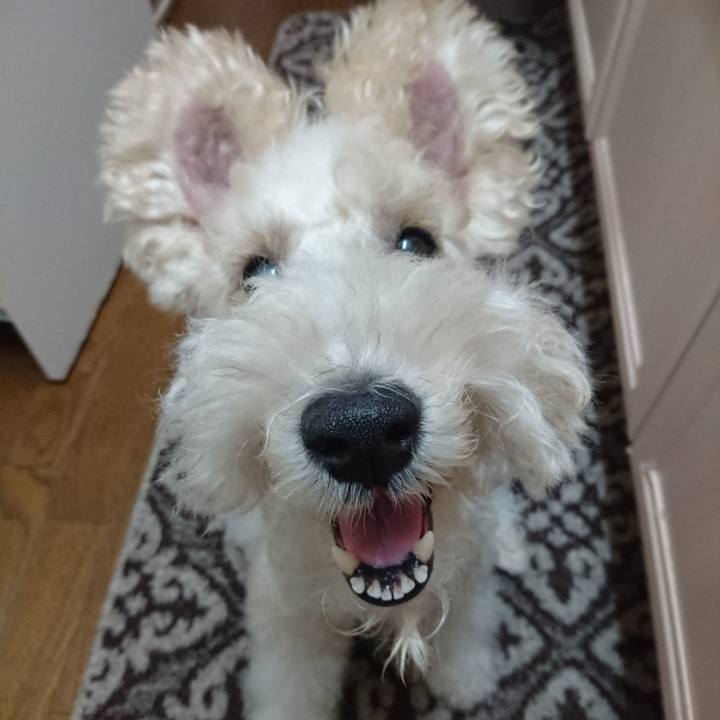 F8941837 ce9b 437e 87e5 19ea00f86565