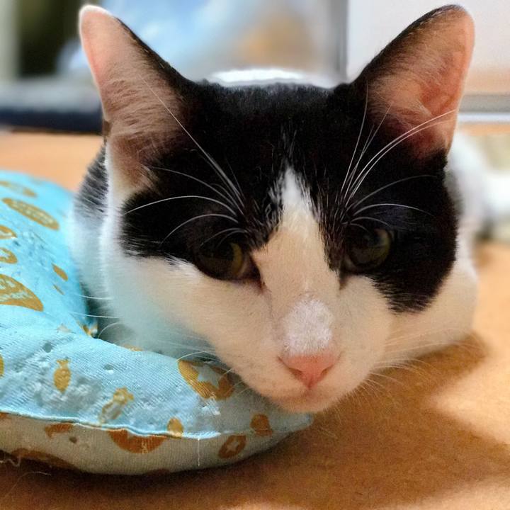 F8943426 50ee 41e6 9640 022882d67905