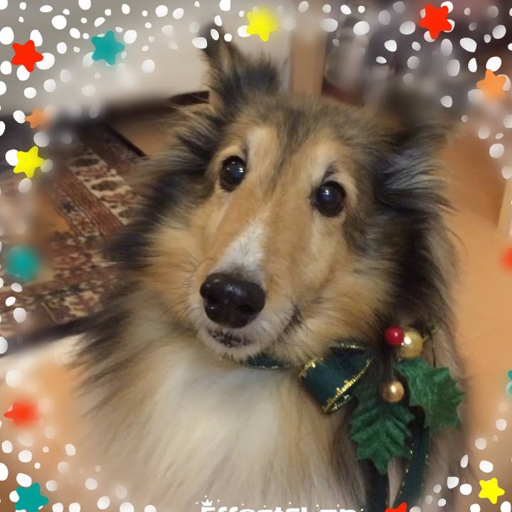 F894909a 211f 42c0 b391 bd4c0e70e66d