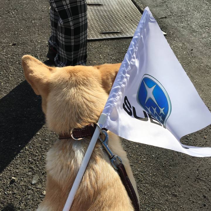 F894e867 edc7 45c9 9a2c d26e36acef83