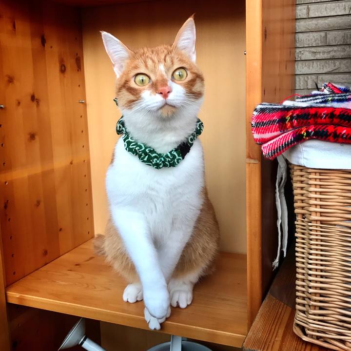 F895800f 9ad9 439e bf78 ab81f4562f04