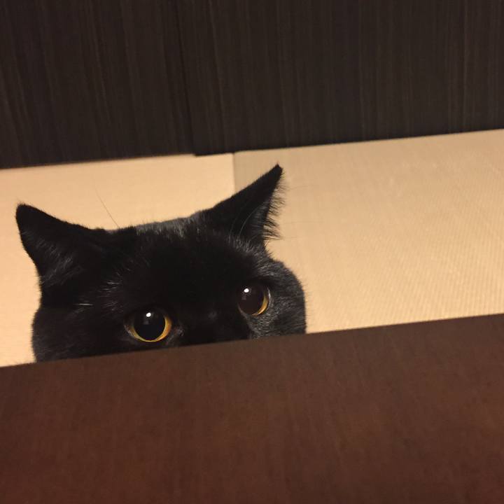 F895d494 9dd8 4e51 a8c1 f0d9b4623b27