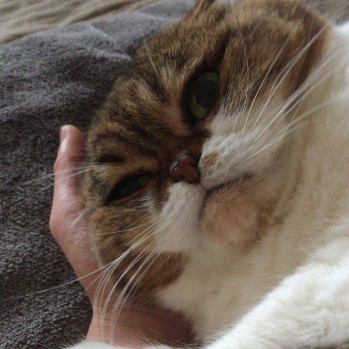 F895dbd3 4241 47dd b9e9 cfbcf23ba94d