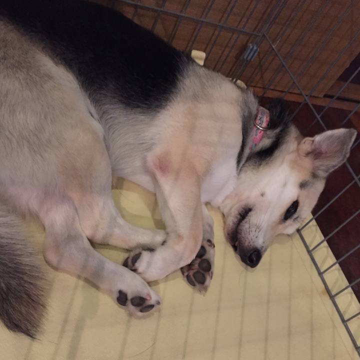 F896001a 3662 4a48 b1ee f19e1722008c