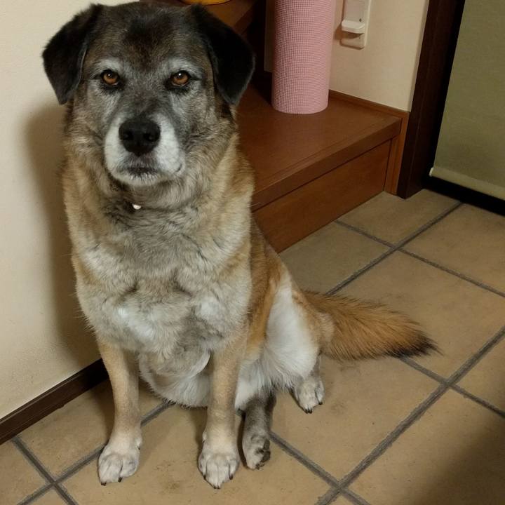 F896bcee b339 40bb 8cd0 30b568ad7571