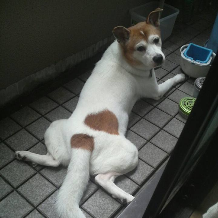 F897290e b592 49f8 aba3 7ad550c6dcf0