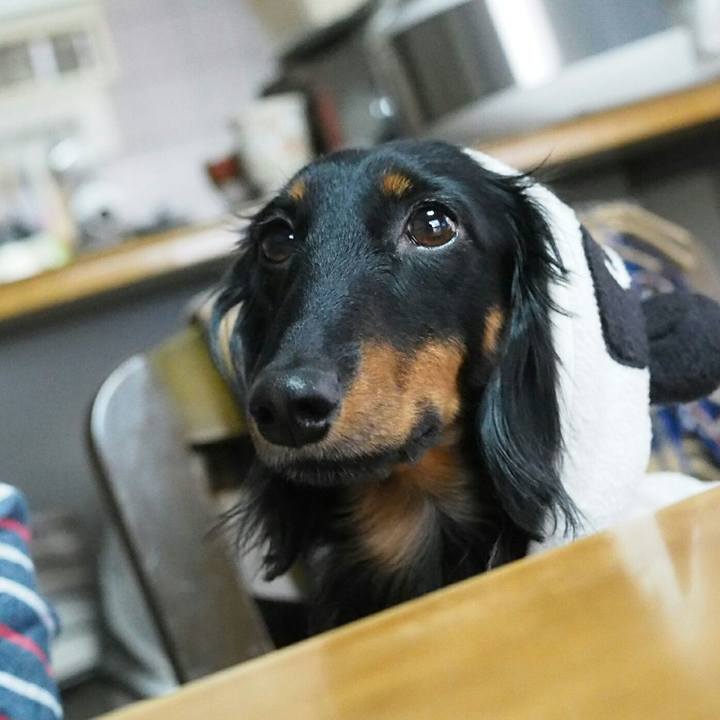 F89972e9 fff5 487c 86ef a834866c75dd