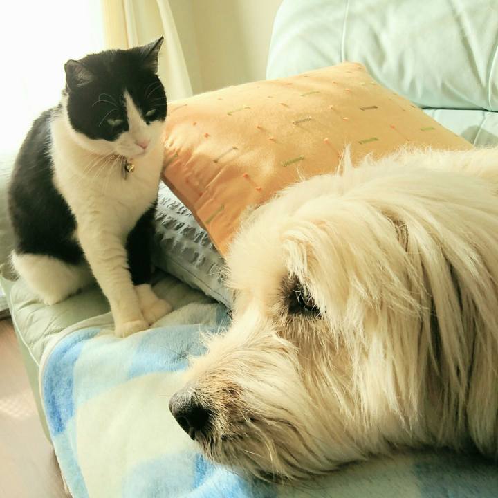 F89a3780 c4b3 41e9 bb88 caa4ce98fa86