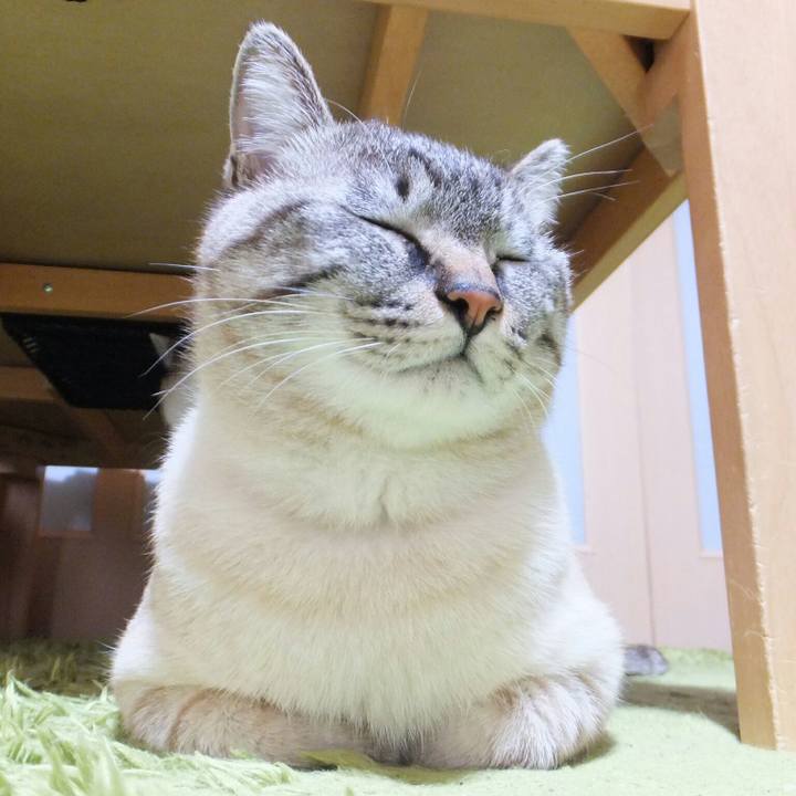 F89aa12c 3188 48ca aa46 6b2dd01df4c8