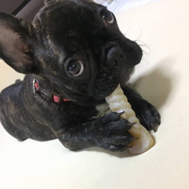 F89abe7e 3640 4945 9c61 8c0c4d36ade1