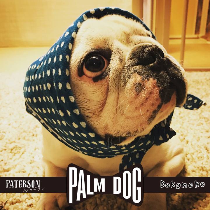 F89b47d5 a7e3 4092 8d63 2f0514d24c16