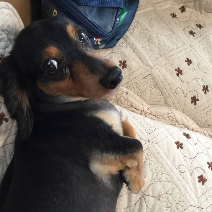 F89bab8d bd71 4ead bf0a d817b76c094c