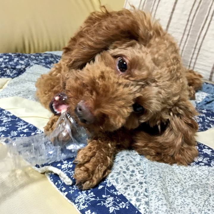 F89bb5b0 0fe4 43c7 a970 3663acd329f1