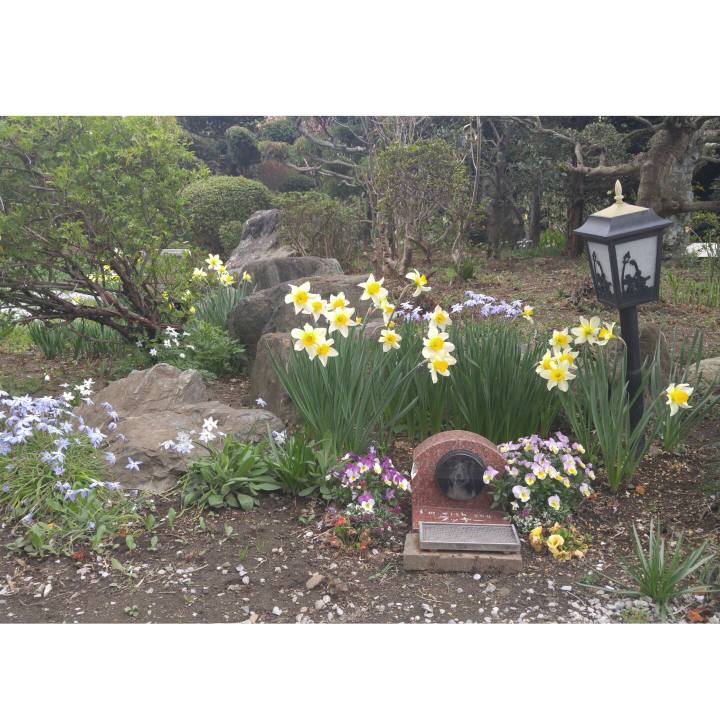 F89bd8e4 9e20 4a42 b23e 534d4716b19c