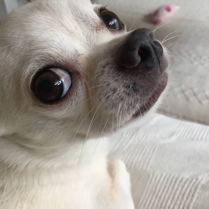 F89c277c 70f4 4fc6 a4a0 a3e747b99f6b