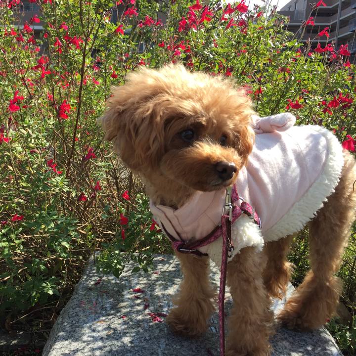 F89caafa 50d1 45bb 993d df2f61643bf0