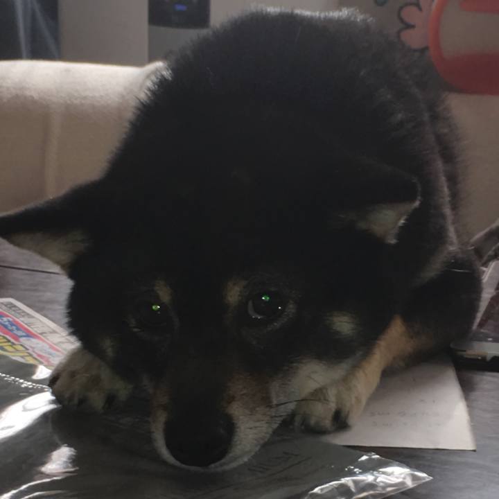 F89cc222 3c51 4ce1 9c9b d43be269744b