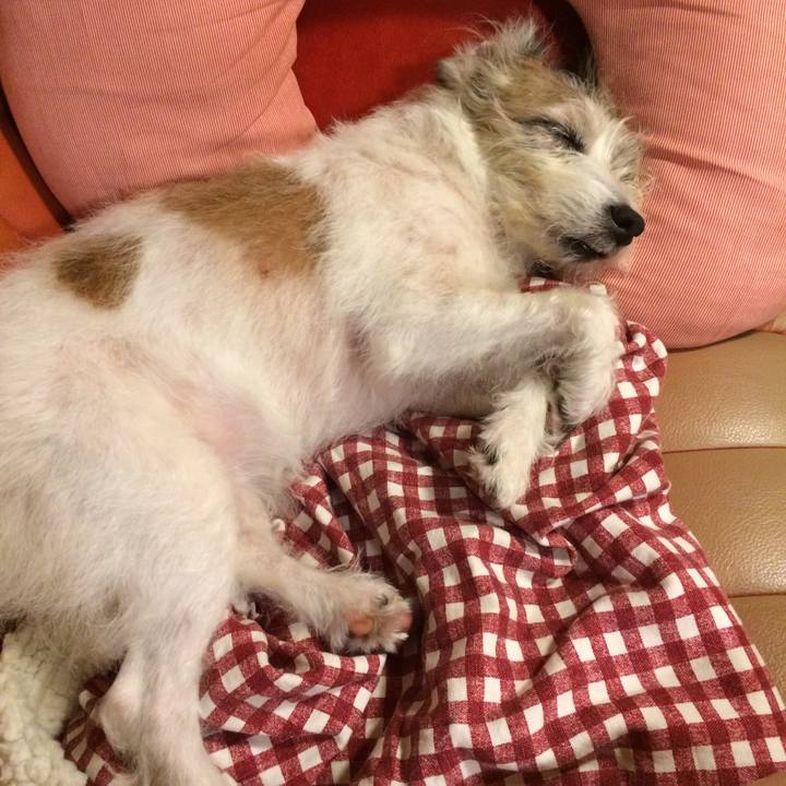 F89d1235 1765 49e6 8a25 c3472d37e228