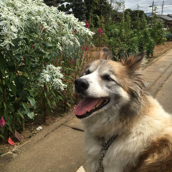 F89daa5a eb25 4b2c 983d fc0d757edacf