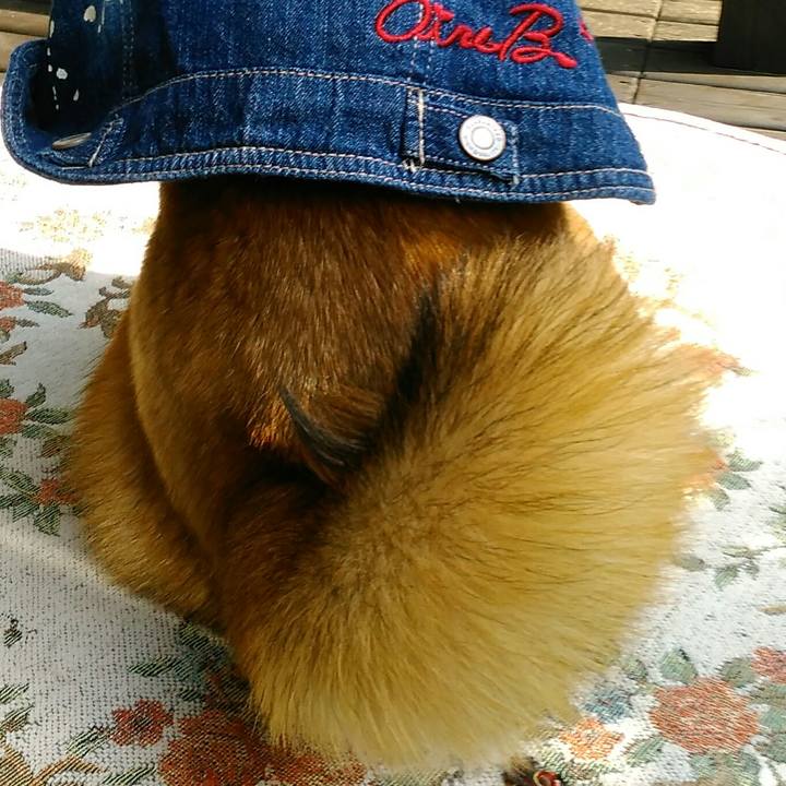 F89daa81 92d9 4adc 9dc3 ce798c79944a