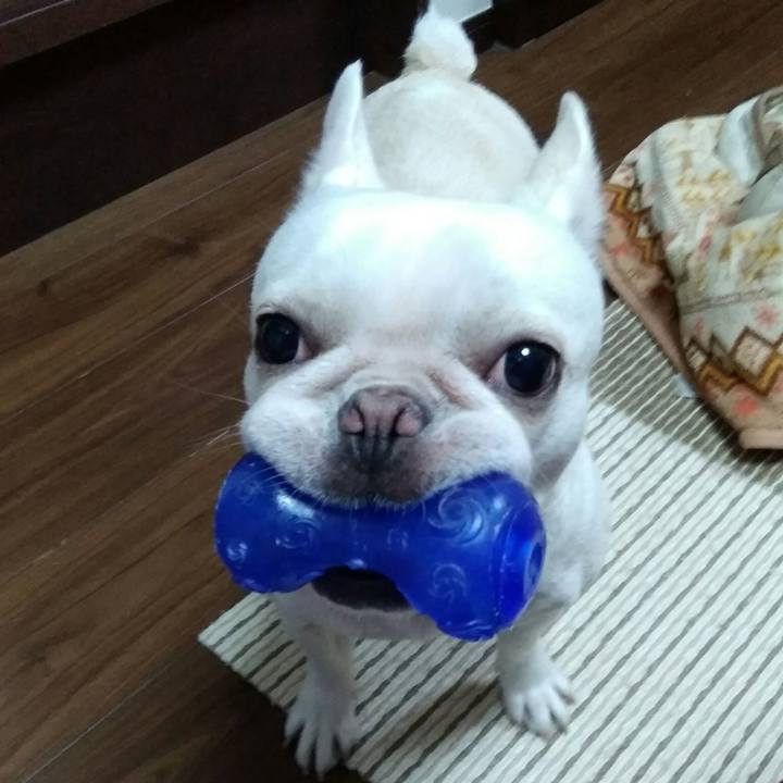 F89db112 094c 479f 8c5e 01c55318e039