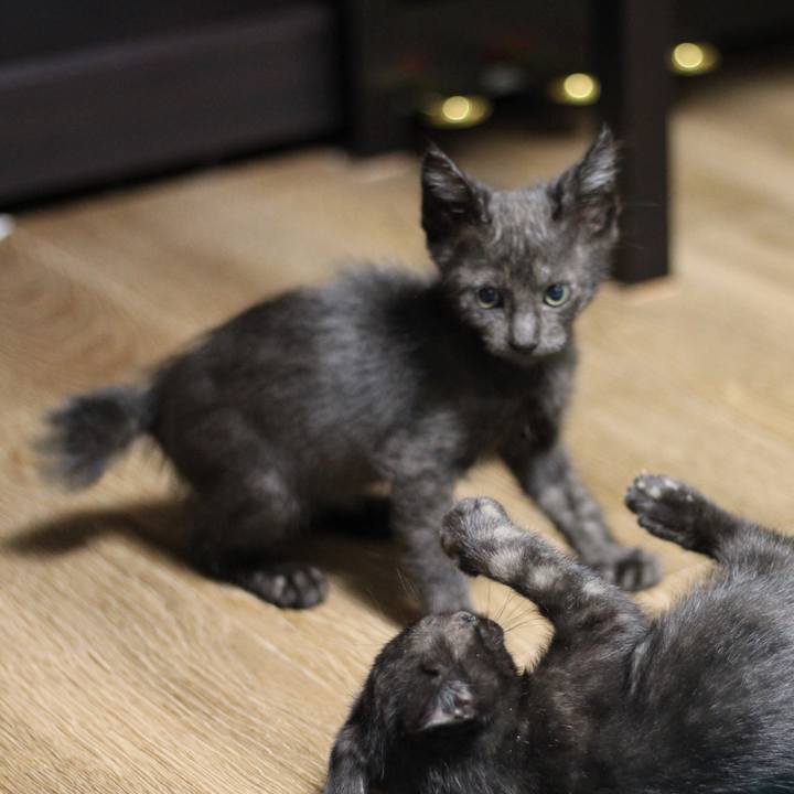 F89db79e 7c8c 4d3c 84e1 fb5287eb3a7d