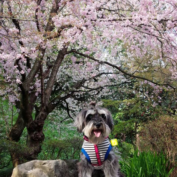 F89e298e 0185 498c 814e d97fdb09fa3e