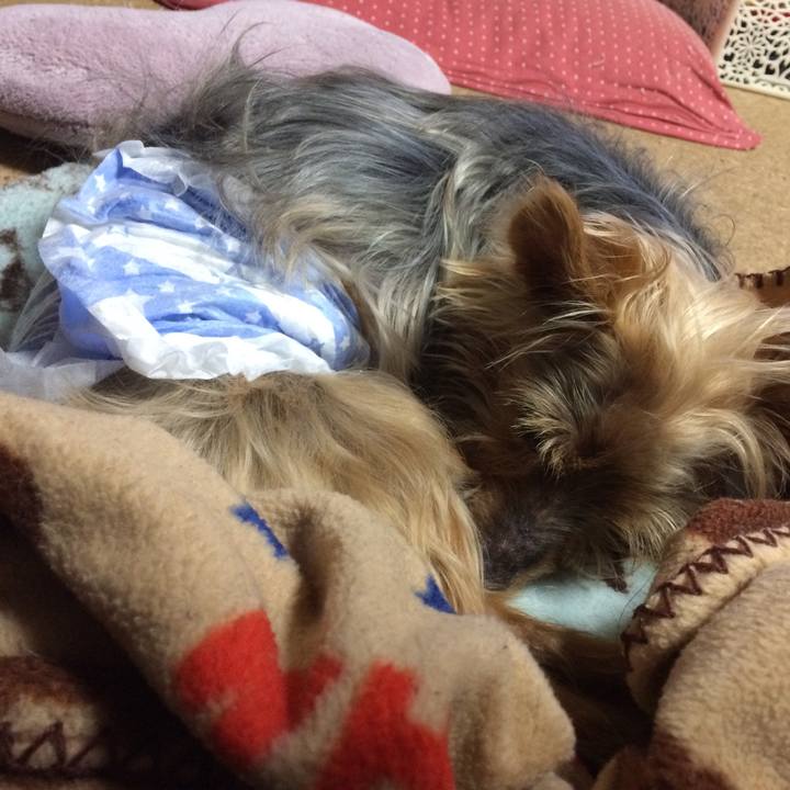 F89e2a2e 79e8 4f06 8aad e5db3a260da5