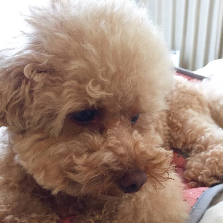 F89ead91 3893 4060 8abb e130d8ebc03c