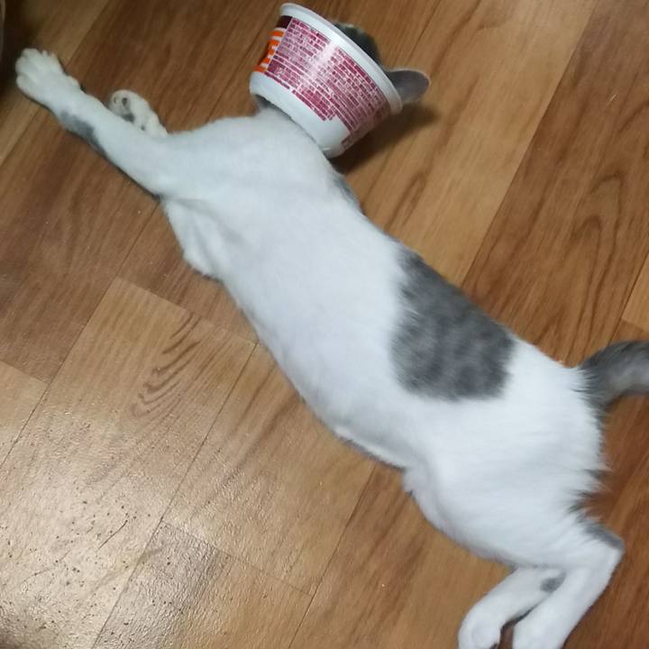 F89eb69e 811b 458e 8654 3588877d6186