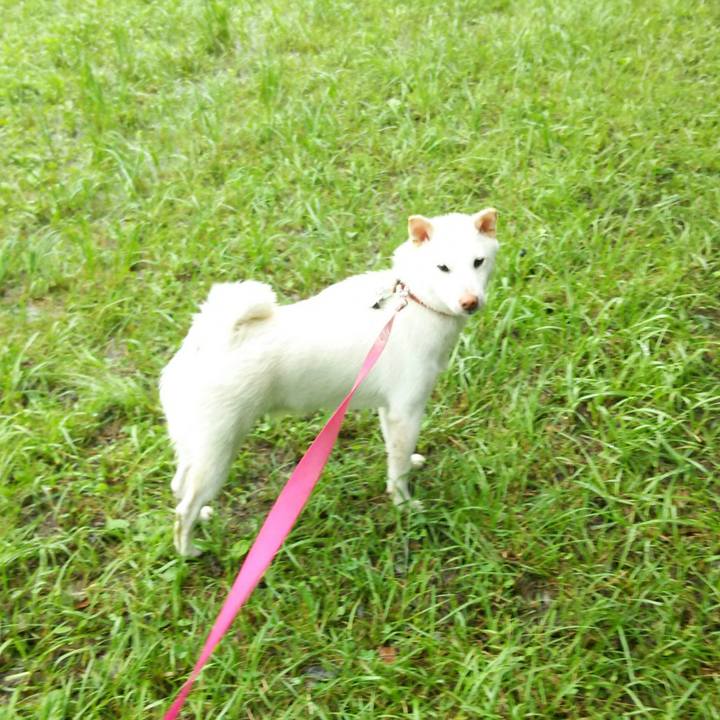 F89ed98b 4704 4fe6 8d88 1e5866261bf4