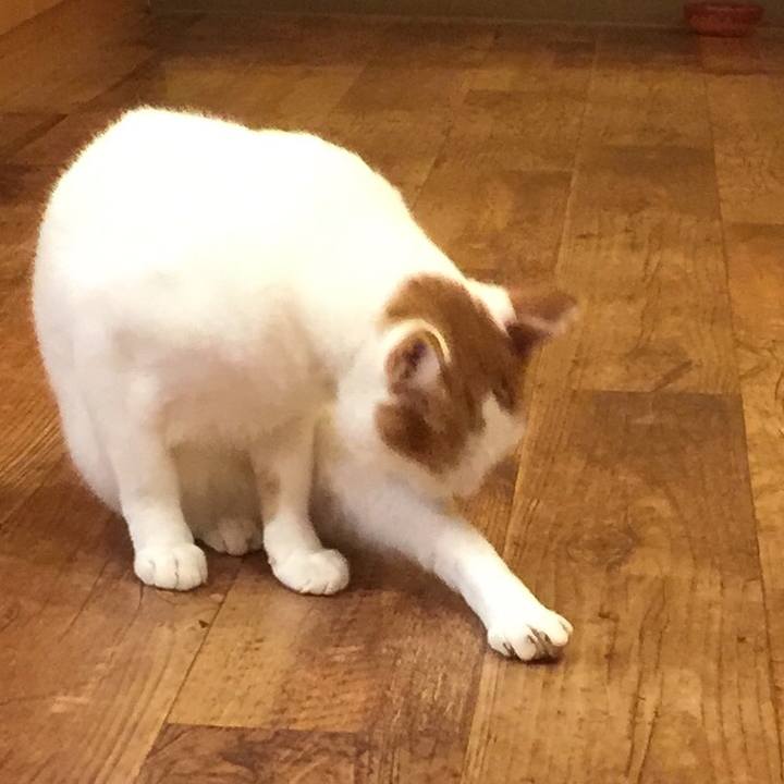 F89f816f 2484 41ad 8a3a df8160420a67