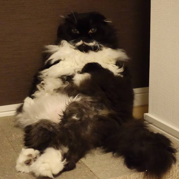 F89f8f05 cc8c 4083 ab89 92e10e82615d