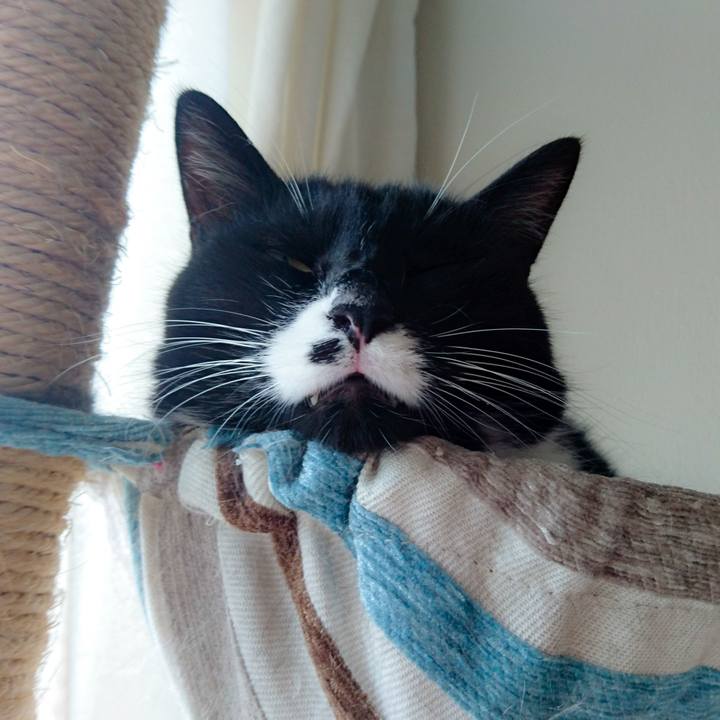 F89faf90 b297 4422 b085 2b0c5033d331