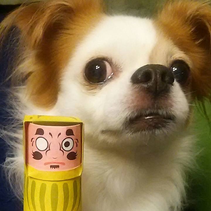 F8a00d49 4e98 4551 8165 7545c6ed73dc