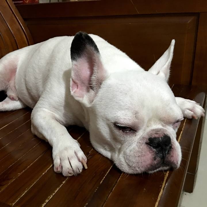 F8a068f5 7614 4d6d be7a 77c098c2bc35