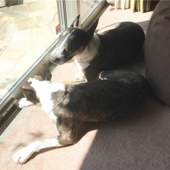 F8a08297 a5af 41d9 b8d4 14c939868cb7